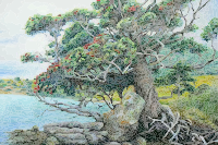 A Pohutukawa Tree