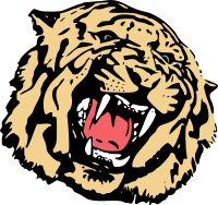 Tiger head
