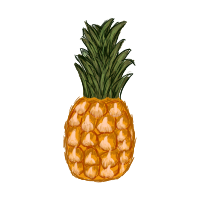 Pineapple