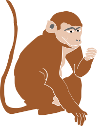 Philippine Monkey