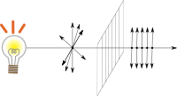 Vertically polarized light