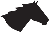 Horse Head