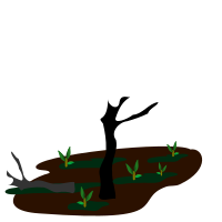 Revive