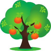 Orange tree