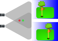 Stereo vision