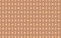 Wrapping Paper 03