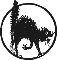 Halloween cat