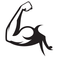 Arm muscle