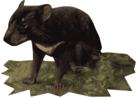 Tasmanian Devil