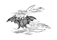 bat with crescent moon