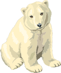baby polar bear cub