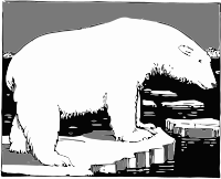 polar bear on ice