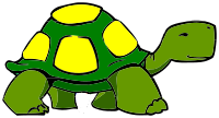 walking turtle or tortoise