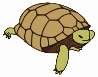 turtle crawling - color
