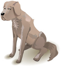 dog sitting
