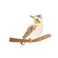 skylark