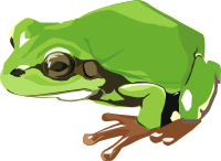 tree frog