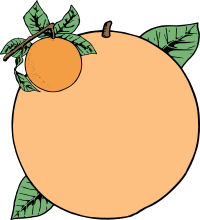 Orange Frame