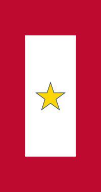 Gold Star Service Banner
