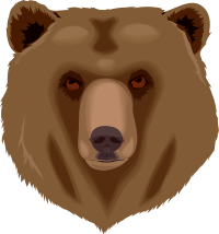 Architetto orso 16 Grizzly Bear