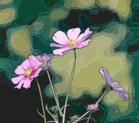 Pink Flowers