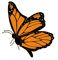 Orange butterfly