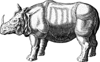 Antique Rhinoceros
