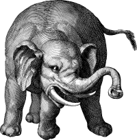 Small Round Elephant