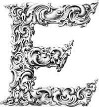 Elegant Flourish Letter E