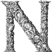 Elegant Flourish Letter N