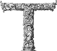 Elegant Flourish Letter T