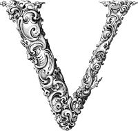 Elegant Flourish Letter V