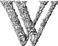 Elegant Flourish Letter W