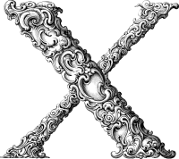 Elegant Flourish Letter X