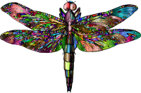 Antique Dragonfly Chromatic
