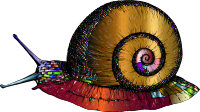 Vintage Snail Chromatic