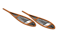 Snowshoes