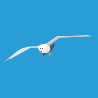 Seagull in flight