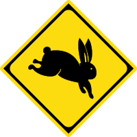 Animal Crossing - Rabbit