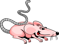 mouse