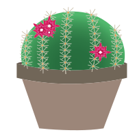 Blooming Cactus