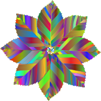 Autumnal Star