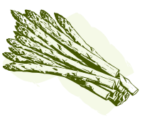 Retro Asparagus