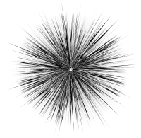 Type Two Supernova