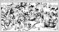 Celestial Map Of The Northern And Southern Sky Using A Mercator Projection