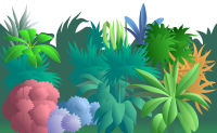 Jungle Scene