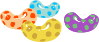 Jelly Beans
