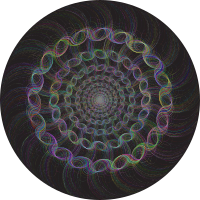 Distinguished Vortex