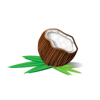 Coconut half