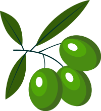 Olive branch